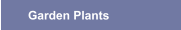 Garden Plants